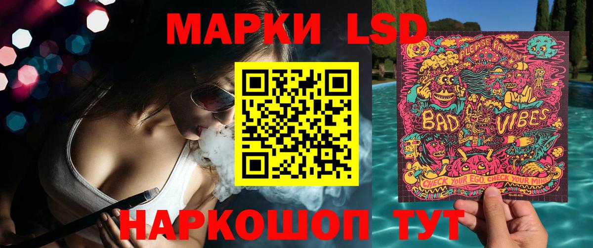 Губкинский  Марки N-bome 1,8мг  Марки N-bome  Вход с VPN  Марки N-bome 1,8мг 