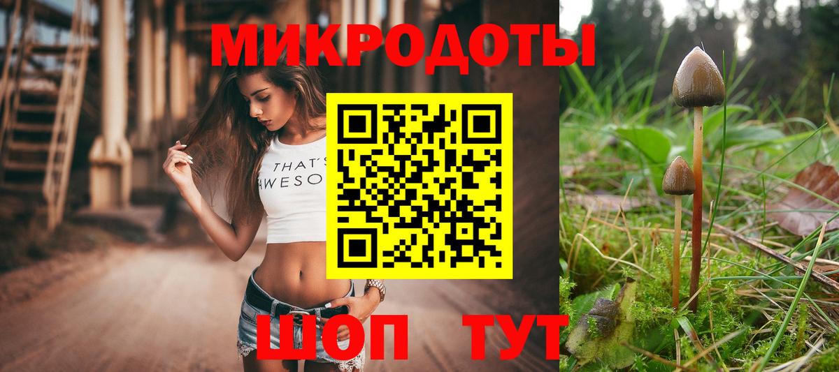 Губкинский  Псилоцибиновые грибы MAGIC MUSHROOMS  Вход с VPN 
