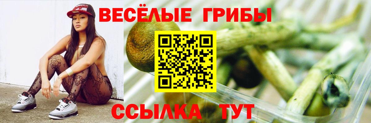 Псилоцибиновые грибы MAGIC MUSHROOMS Губкинский